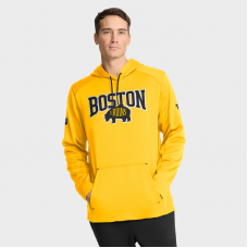 Boston Bruins Fanatics Gold 2026 NHL Stadium Series Authentic Pro Pullover Hoodie