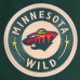 Толстовка Minnesota Wild Pro Standard Classic - Green