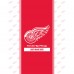 Detroit Red Wings Chad & Jake 30 x 40 Personalized Baby Blanket