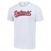 Футболка Detroit Red Wings Starter Tailsweep - White