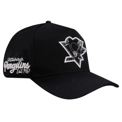 Бейсболка Pittsburgh Penguins Pro Standard Paint the City Pinch Front - Black