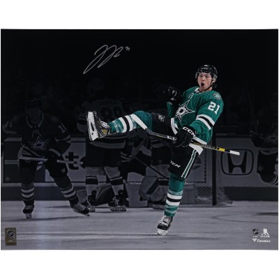Jason Robertson Dallas Stars Autographed Fanatics Authentic 16 x 20 Green Jersey Celebration Photograph