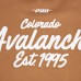 Кофта Colorado Avalanche Pro Standard Brown Paint the City