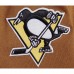 Кофта Pittsburgh Penguins Pro Standard Brown Paint the City