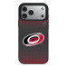 Чехол для iPhone Carolina Hurricanes Linen Logo