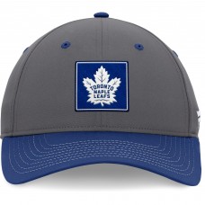 Toronto Maple Leafs 2024 Stanley Cup Playoffs Locker Room Adjustable Hat - Gray/Blue