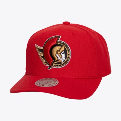 Бейсболка Ottawa Senators Mitchell & Ness Core Team Ground Pro - Red