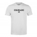 Футболка Colorado Avalanche Levelwear Richmond City Capsule - White