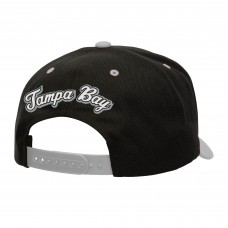 Бейсболка Tampa Bay Lightning Mitchell & Ness Black/Gray Backside Script Two-Tone Pro Crown