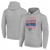Толстовка Florida Panthers Starter Four Team Name Logo Fleece - Heather Gray