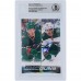 Matthew Boldy & Marco Rossi Minnesota Wild Autographed 2022-23 Upper Deck Series 1 Young Guns Checklist #250 Beckett Fanatics Witnessed Authenticated Rookie Card