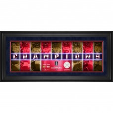 Florida Panthers Fanatics Authentic 2024 Stanley Cup Champions Framed 10 x 30 Champions Panoramic with a Piece of Game-Used Net - Limited Edition of 300