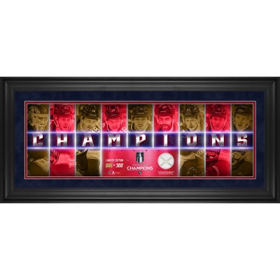 Florida Panthers Fanatics Authentic 2024 Stanley Cup Champions Framed 10 x 30 Champions Panoramic with a Piece of Game-Used Net - Limited Edition of 300
