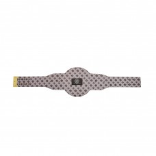 Boston Bruins WWE Legacy Title Belt