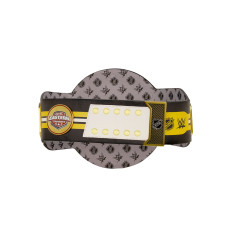 Boston Bruins WWE Legacy Title Belt Boston Bruins WWE Legacy Title Belt