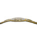 Boston Bruins WWE Legacy Title Belt