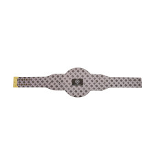 Boston Bruins WWE Legacy Title Belt Boston Bruins WWE Legacy Title Belt