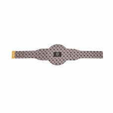 Tampa Bay Lightning WWE Legacy Title Belt