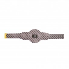 Toronto Maple Leafs WWE Legacy Title Belt