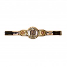 Vegas Golden Knights WWE Legacy Title Belt