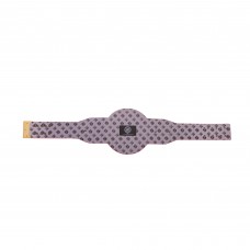 Washington Capitals WWE Legacy Title Belt