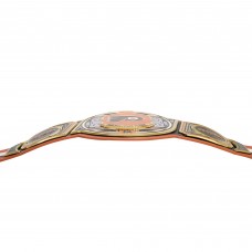 Philadelphia Flyers WWE Legacy Title Belt Philadelphia Flyers WWE Legacy Title Belt