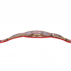 New Jersey Devils WWE Legacy Title Belt