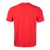 Футболка New York Rangers Levelwear Richmond Ice Wall - Red