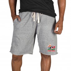 Carolina Hurricanes Concepts Sport Gray Mainstream Tri-Blend Shorts