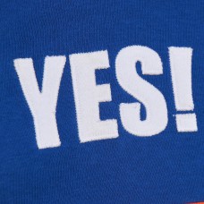 New York Islanders Mitchell & Ness Royal Head Coach Slogan Pullover Hoodie