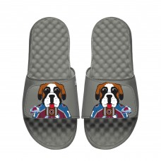 Unisex Colorado Avalanche ISlide Gray Team Mascot Slide Sandals