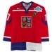 Petr Sykora Team Czech Republic Fanatics Authentic Game-Used #17 Red Nike Jersey from the 2004 World Cup of Hockey