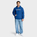 New York Islanders Fanatics Royal Authentic Pro Primary Hoodie
