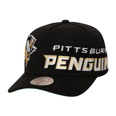 Бейсболка Pittsburgh Penguins Mitchell & Ness Black Busted Logo Wordmark Wrap-Around Pro Pinch