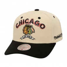 Бейсболка Chicago Blackhawks Mitchell & Ness Cream Soul Legacy Defined Two-Tone Pro Crown Бейсболка Chicago Blackhawks Mitchell & Ness Cream Soul Legacy Defined Two-Tone Pro Crown