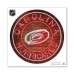 Carolina Hurricanes 28 x 28 Repositionable Neon Wall Decal