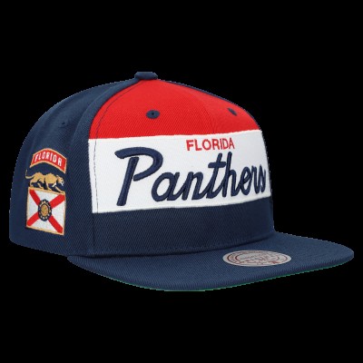 Бейсболка Florida Panthers Mitchell & Ness Navy Retro Script Colorblock