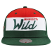Minnesota Wild Mitchell & Ness Green Retro Script Colorblock Snapback Hat