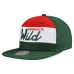 Minnesota Wild Mitchell & Ness Green Retro Script Colorblock Snapback Hat