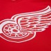 Detroit Red Wings Dominik Hasek Mitchell & Ness Red 2007-08 Power Play Jersey
