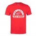 Detroit Red Wings Levelwear Red Richmond Banner Arch T-Shirt