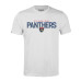 Футболка Florida Panthers Levelwear White Richmond Carve