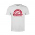 Подростковая Detroit Red Wings Levelwear White Little Richmond Banner Arch T-Shirt