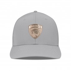 Бейсболка Florida Panthers Levelwear Gray Rise Copper Insignia