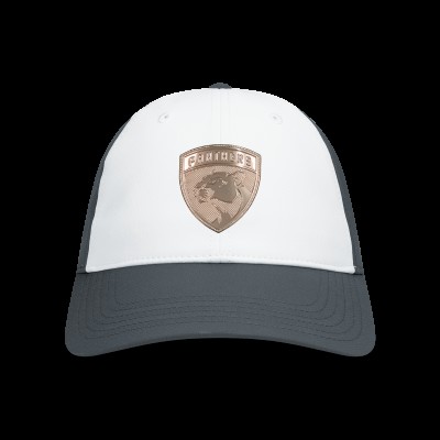 Бейсболка Florida Panthers Levelwear White/Charcoal Endure Copper Insignia