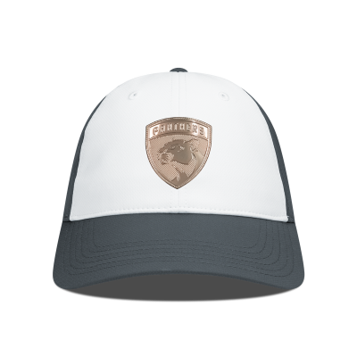 Бейсболка Florida Panthers Levelwear White/Charcoal Endure Copper Insignia