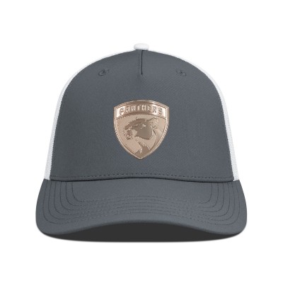 Бейсболка Florida Panthers Levelwear Charcoal/White Signal Copper Insignia