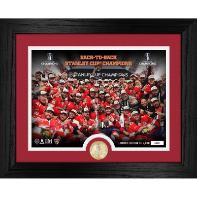 Монета и фотография Florida Panthers Highland Mint 2025 Stanley Cup Champions 13 x 16 Celebration Bronze