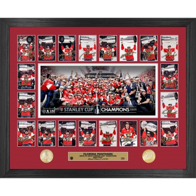 Монета и фотография Florida Panthers Highland Mint 2025 Stanley Cup Champions 18 x 22 Memorable Moments Bronze