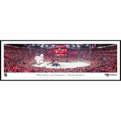 Florida Panthers 2025 Stanley Cup Champions Standard Framed Panorama Photograph